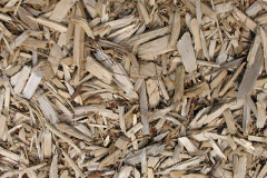 biomass boilers Brandeston